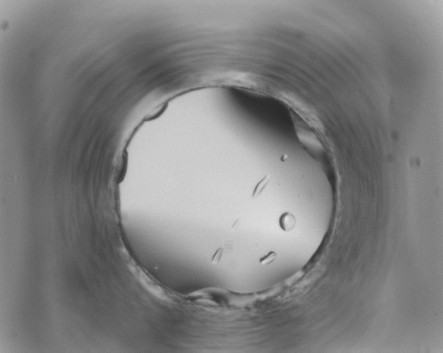 X0000072940816200608111559