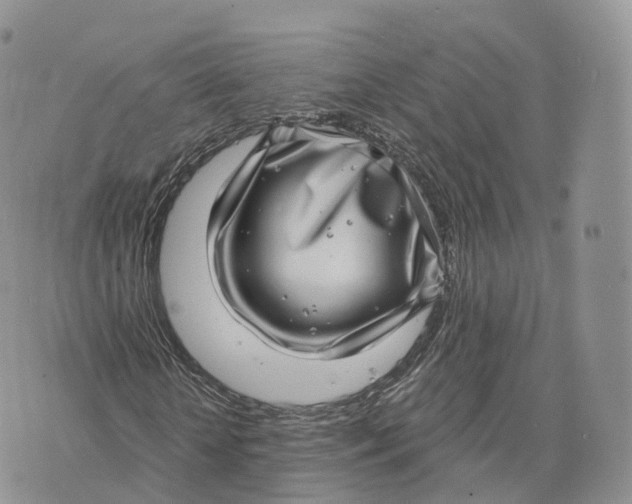 X0000072940818200608111558