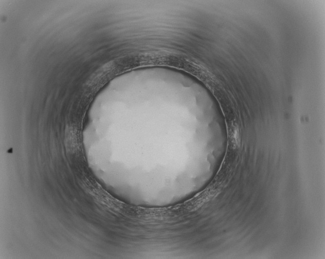 X0000072940819200608111558