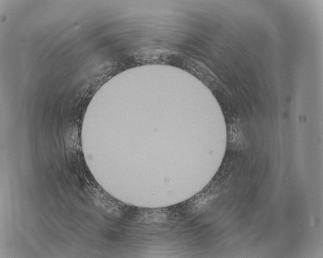 X0000072940820200608111558