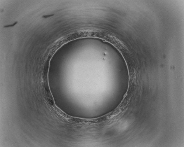 X0000072940821200608111558