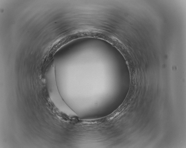 X0000072940822200608111558