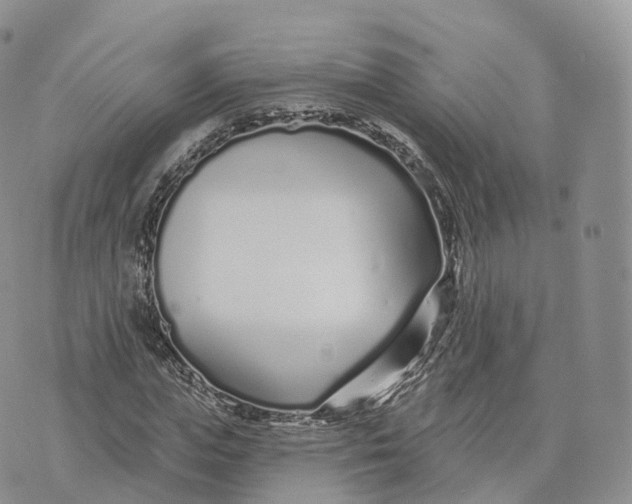 X0000072940823200608111558