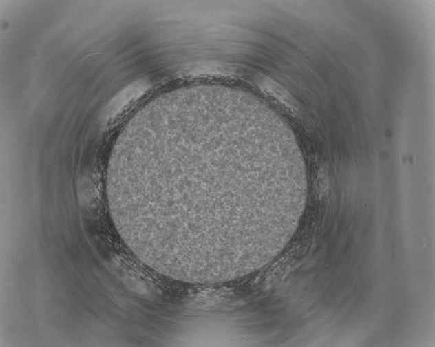 X0000072940824200608111558