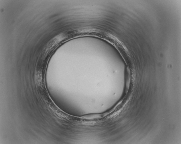 X0000072940825200608111558