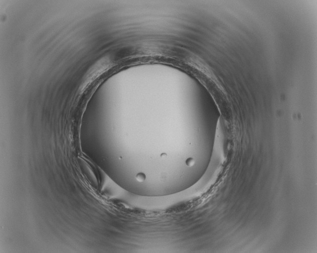 X0000072940826200608111558