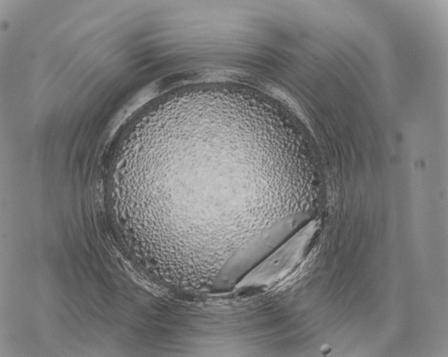 X0000072940827200608111558