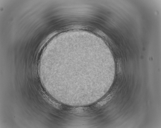 X0000072940828200608111558