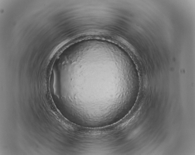 X0000072940829200608111558