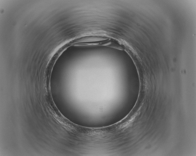 X0000072940830200608111558