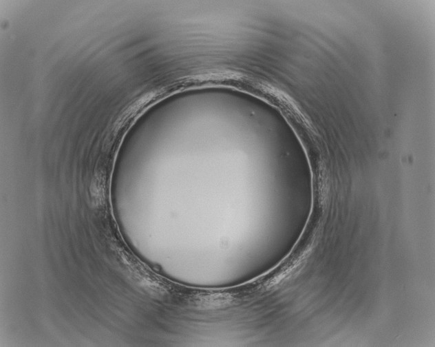 X0000072940833200608111558