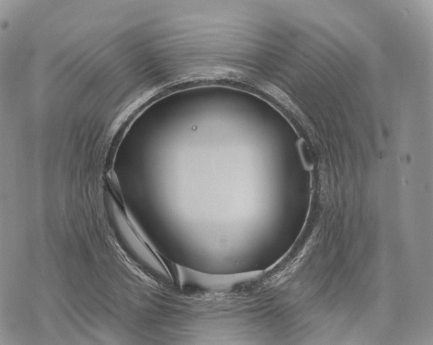 X0000072940834200608111558