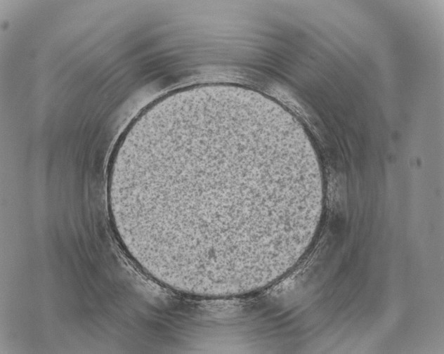 X0000072940836200608111558