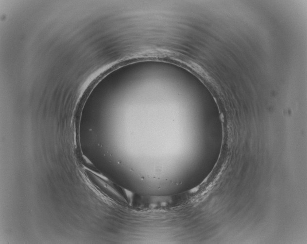 X0000072940838200608111558