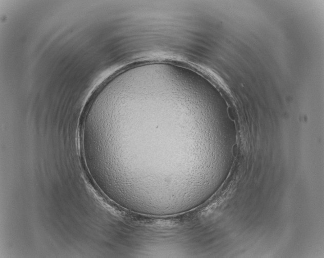 X0000072940839200608111558