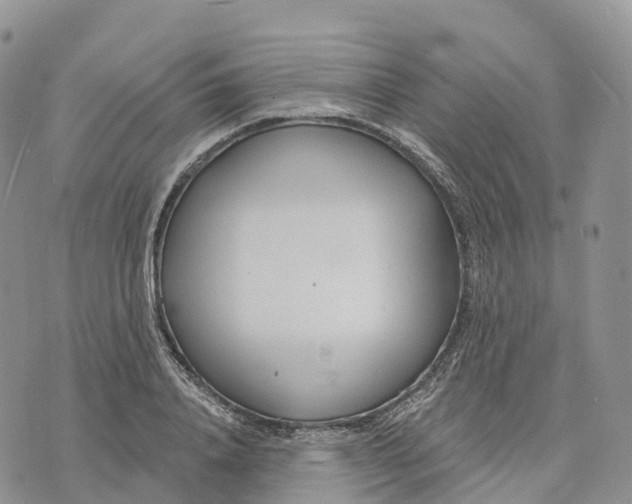 X0000072940840200608111558