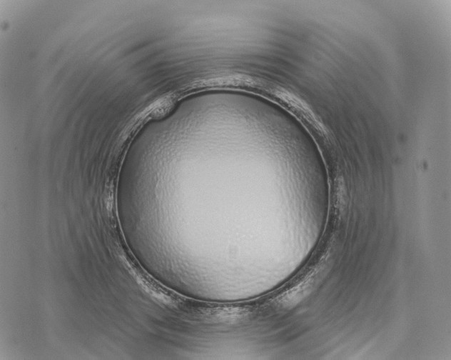 X0000072940841200608111558