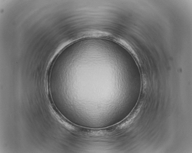 X0000072940843200608111558