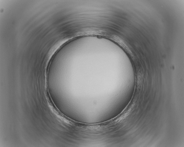 X0000072940844200608111558