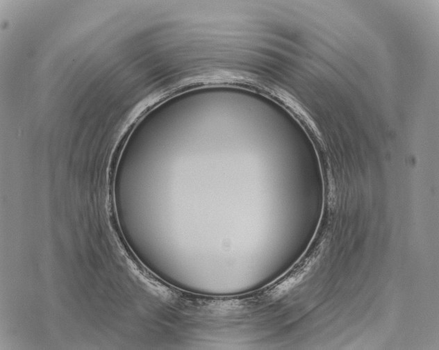 X0000072940845200608111558