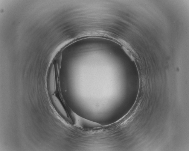 X0000072940846200608111558