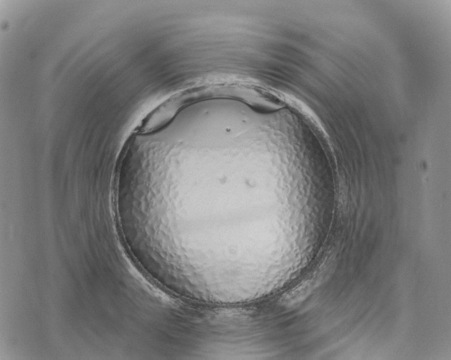 X0000072940847200608111558