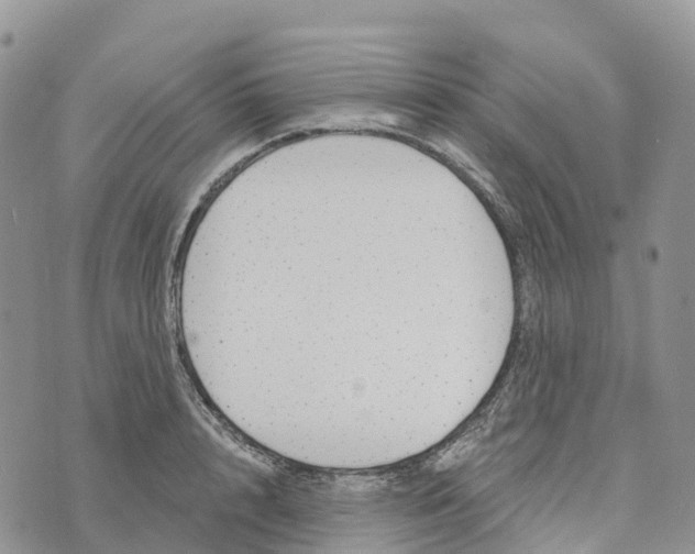 X0000072940848200608111558