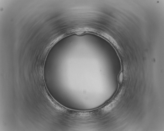 X0000072940849200608111558