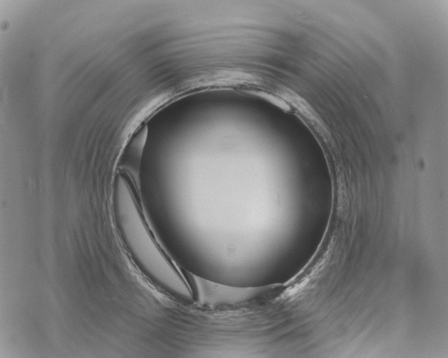 X0000072940850200608111558