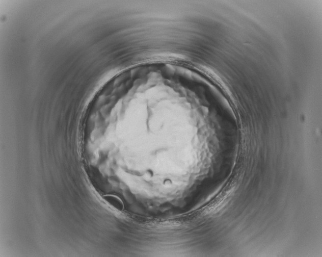 X0000072940851200608111558