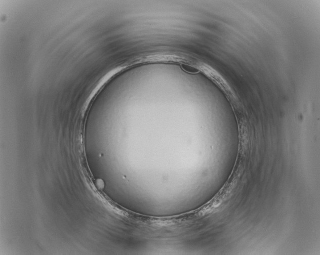 X0000072940852200608111558