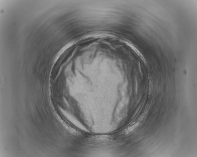 X0000072940853200608111558