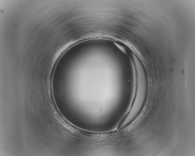 X0000072940854200608111558