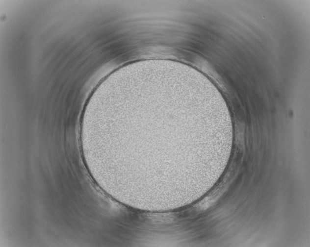 X0000072940856200608111558