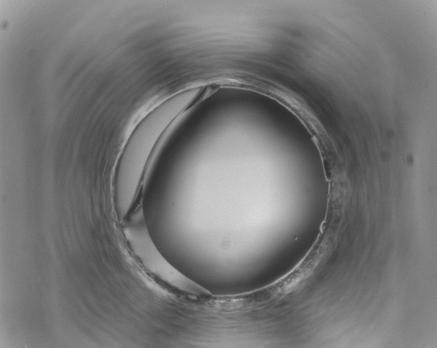 X0000072940858200608111559