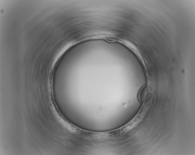 X0000072940859200608111559