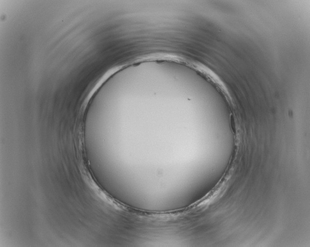 X0000072940860200608111559