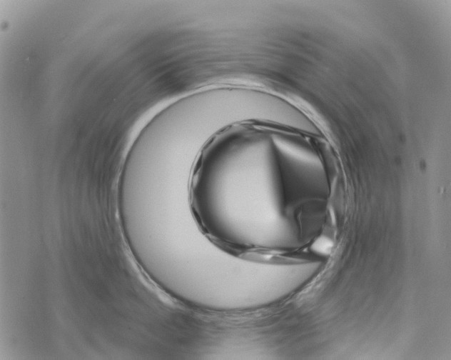 X0000072940862200608111559