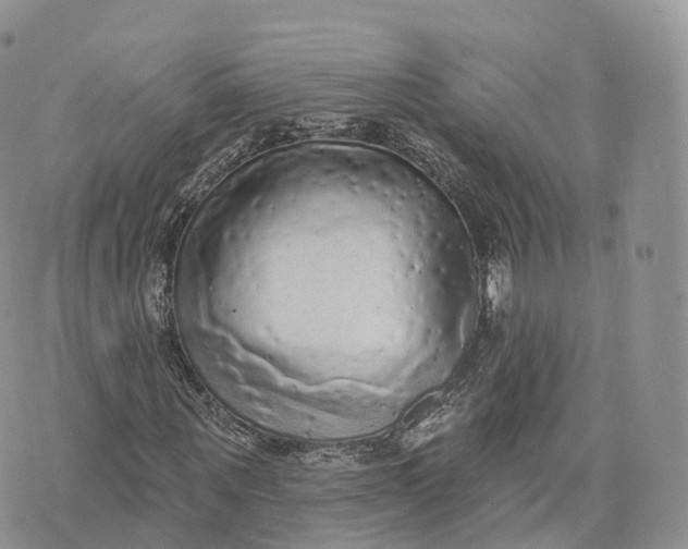 X0000072940867200608111558