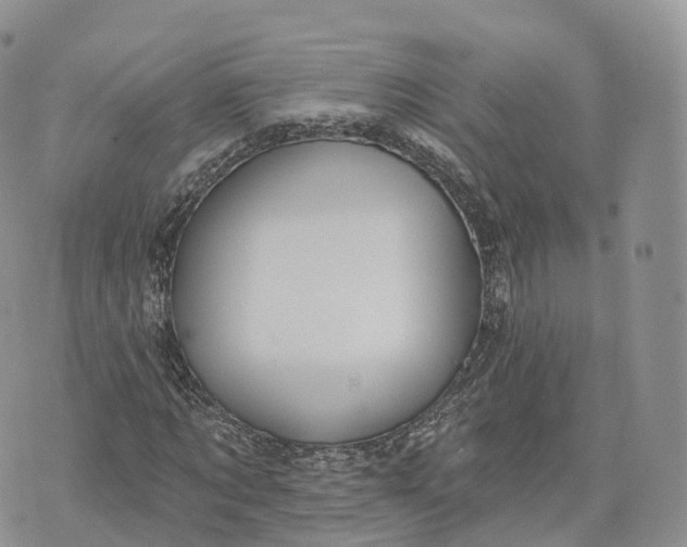 X0000072940869200608111558