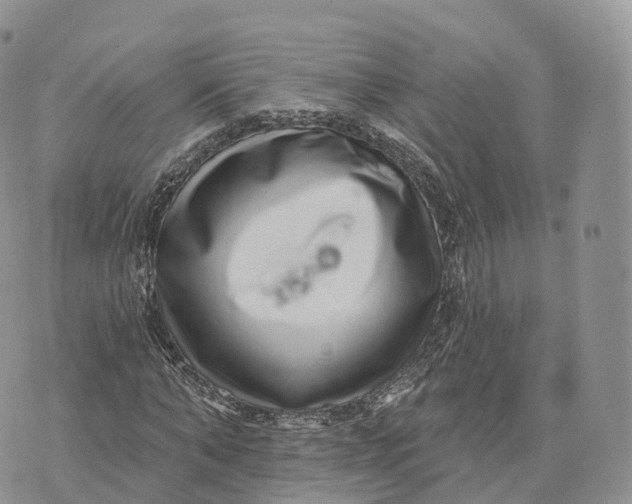 X0000072940870200608111558