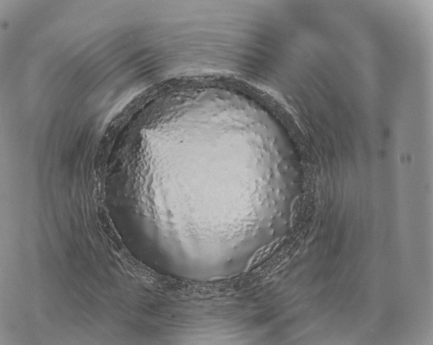 X0000072940871200608111558