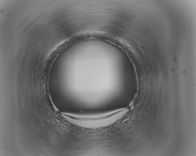 X0000072940872200608111558