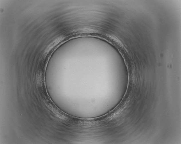 X0000072940873200608111558