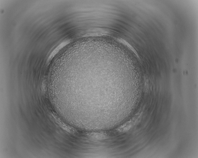 X0000072940874200608111558