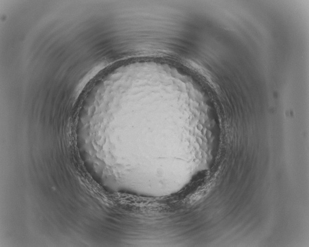 X0000072940875200608111558