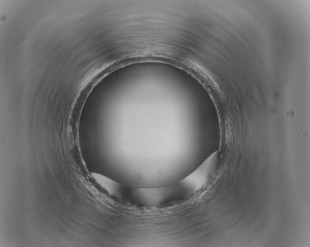 X0000072940876200608111558