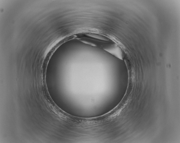 X0000072940877200608111558