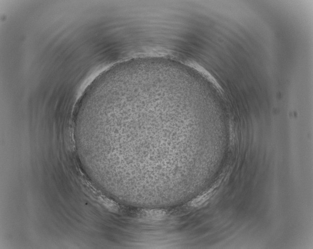 X0000072940878200608111558