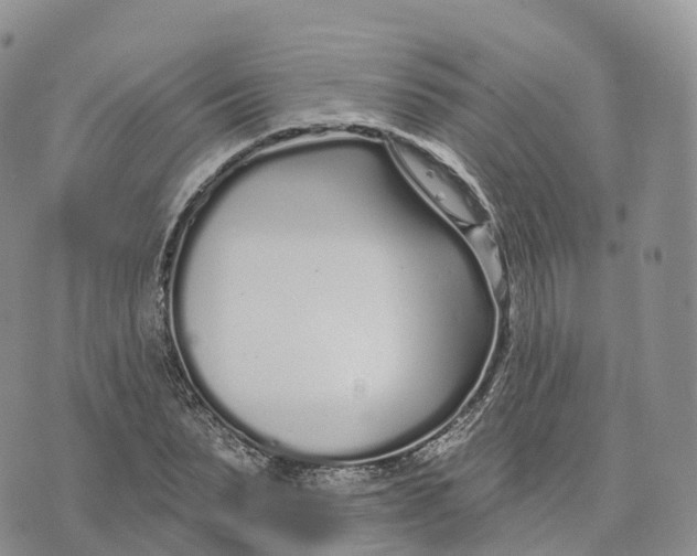 X0000072940879200608111558